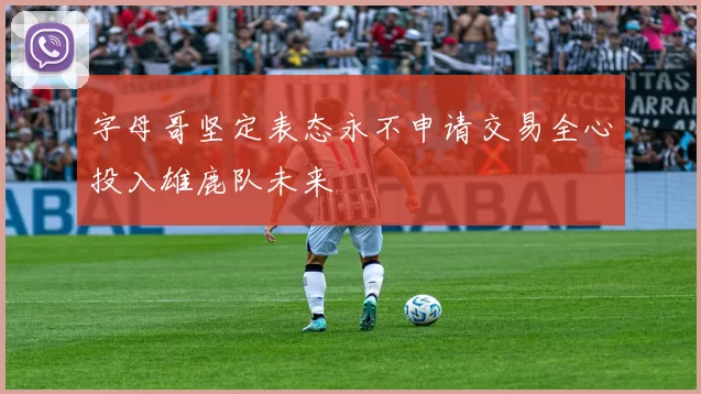 字母哥坚定表态永不申请交易全心投入雄鹿队未来