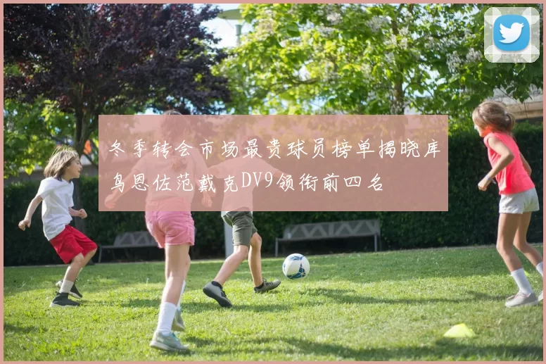 冬季转会市场最贵球员榜单揭晓库鸟恩佐范戴克DV9领衔前四名